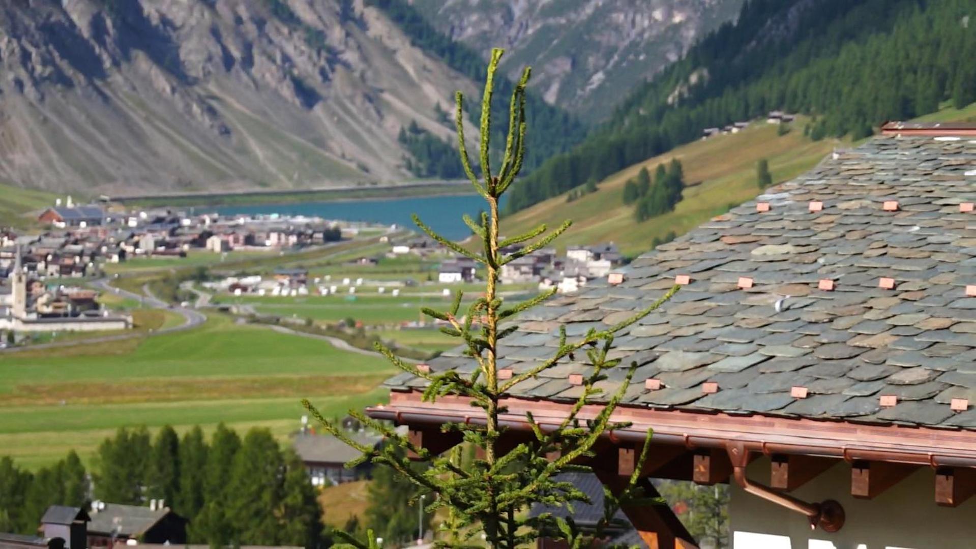 Chalet Elena Livigno Zewnętrze zdjęcie